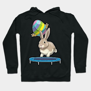 Bunny Easter Easter egg Trampoline Hoodie